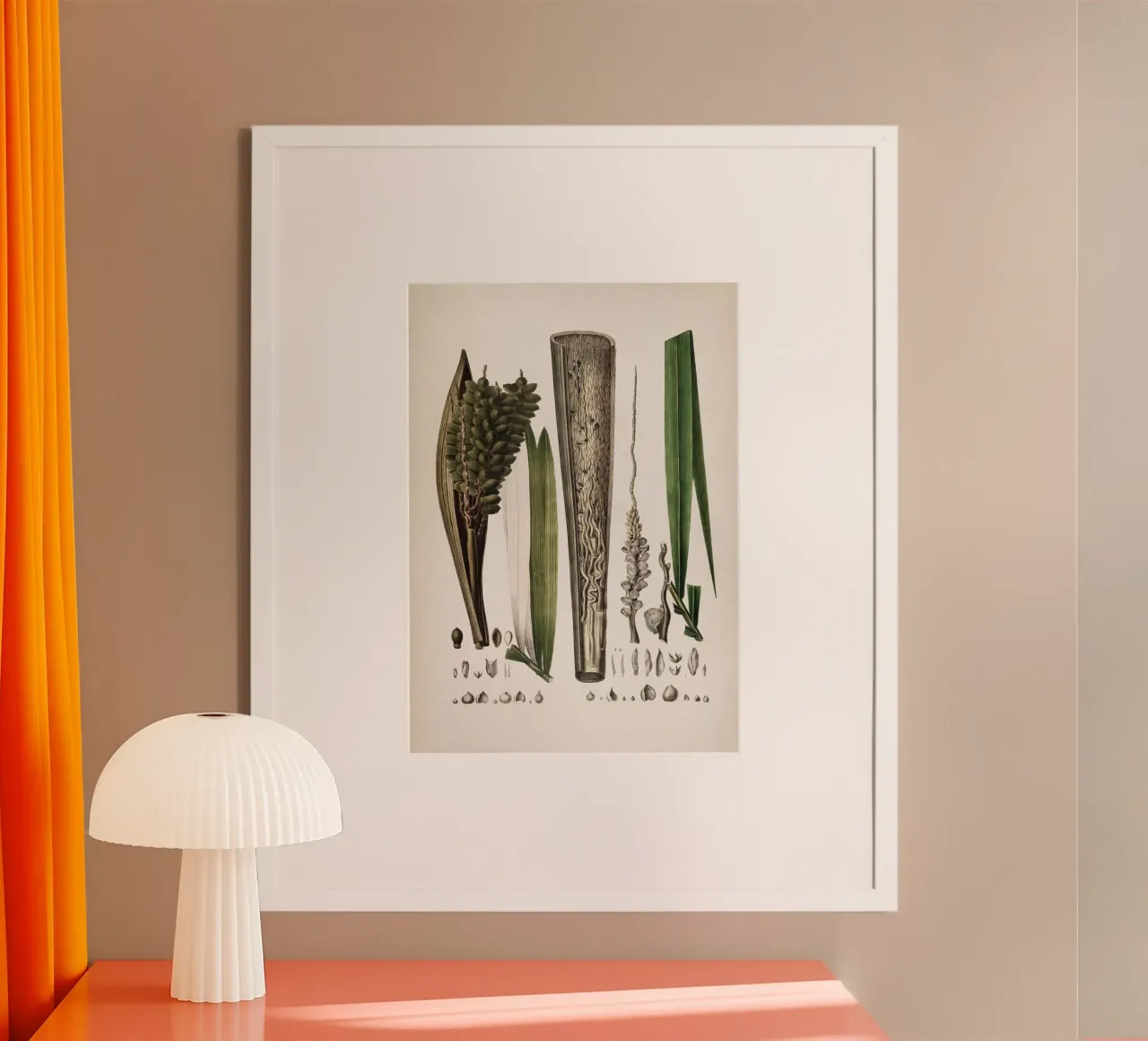 Vintage Martius 5 Cocos Comosa poster con telaio in plastica da Vintage Print Collection