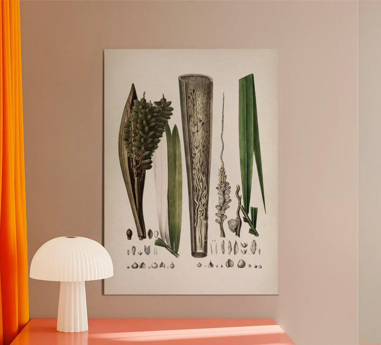 Vintage Martius 5 Cocos Comosa poster con telaio in plastica da Vintage Print Collection