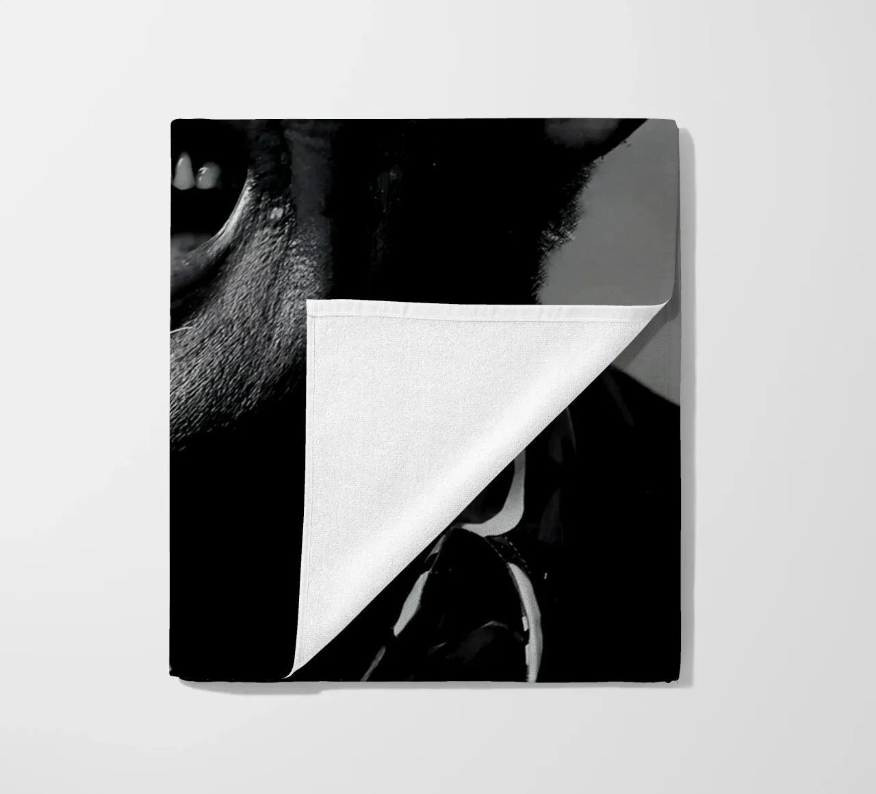 Ray Charles telo mare da Low poly art
