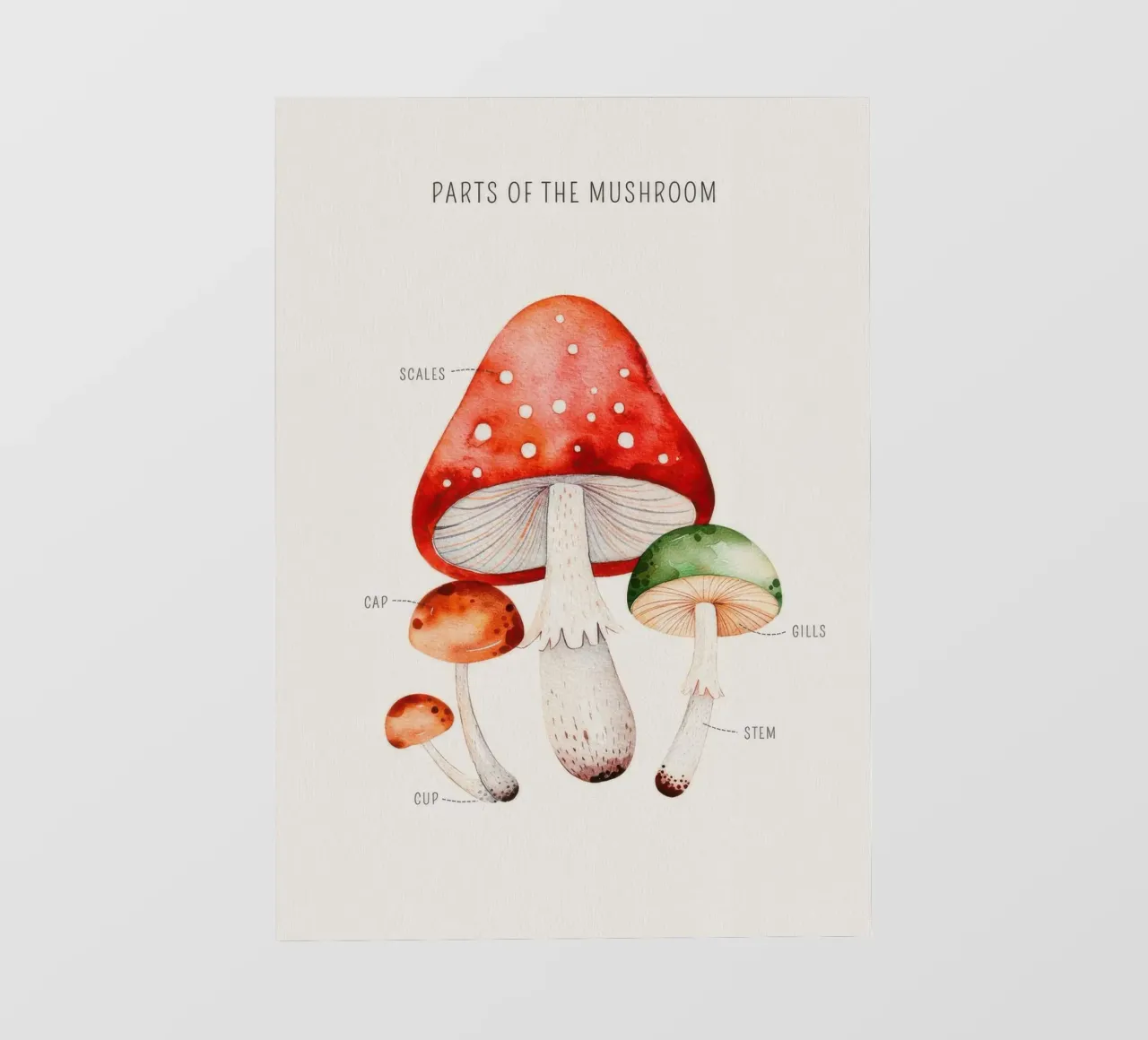 Mushroom Parts photo wallpaper by KIds Idea