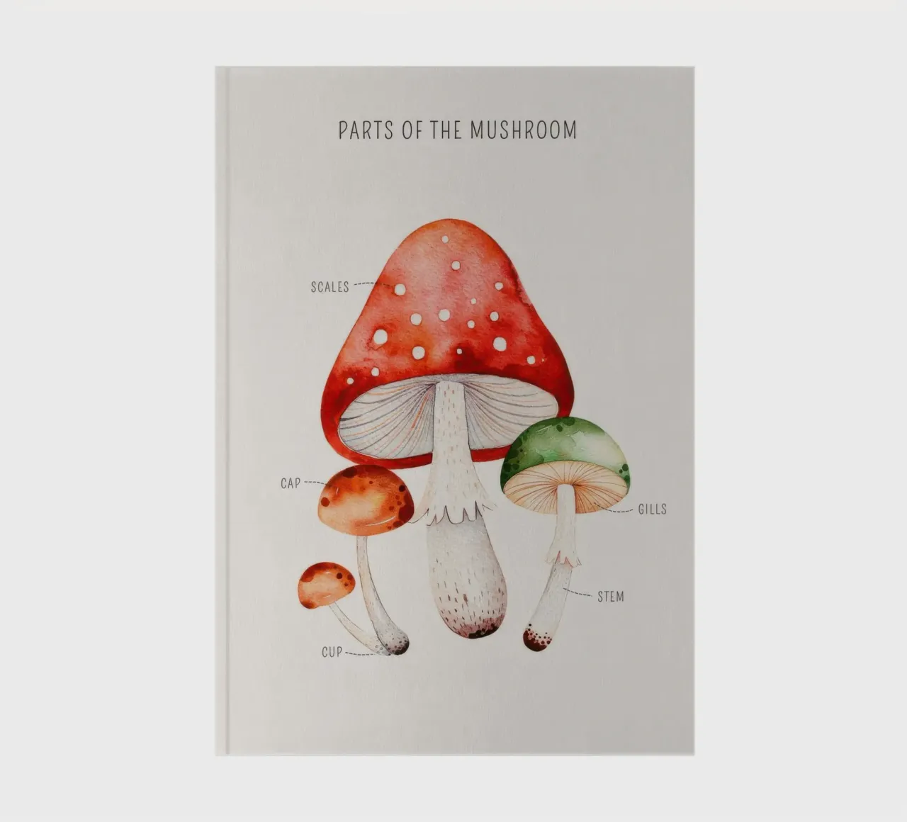 Mushroom Parts notebook by KIds Idea