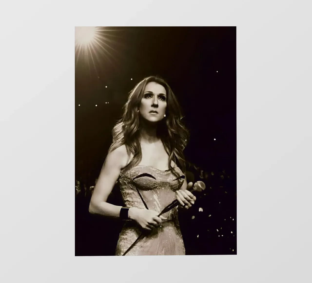Celine Dion telo in pvc da Low poly art