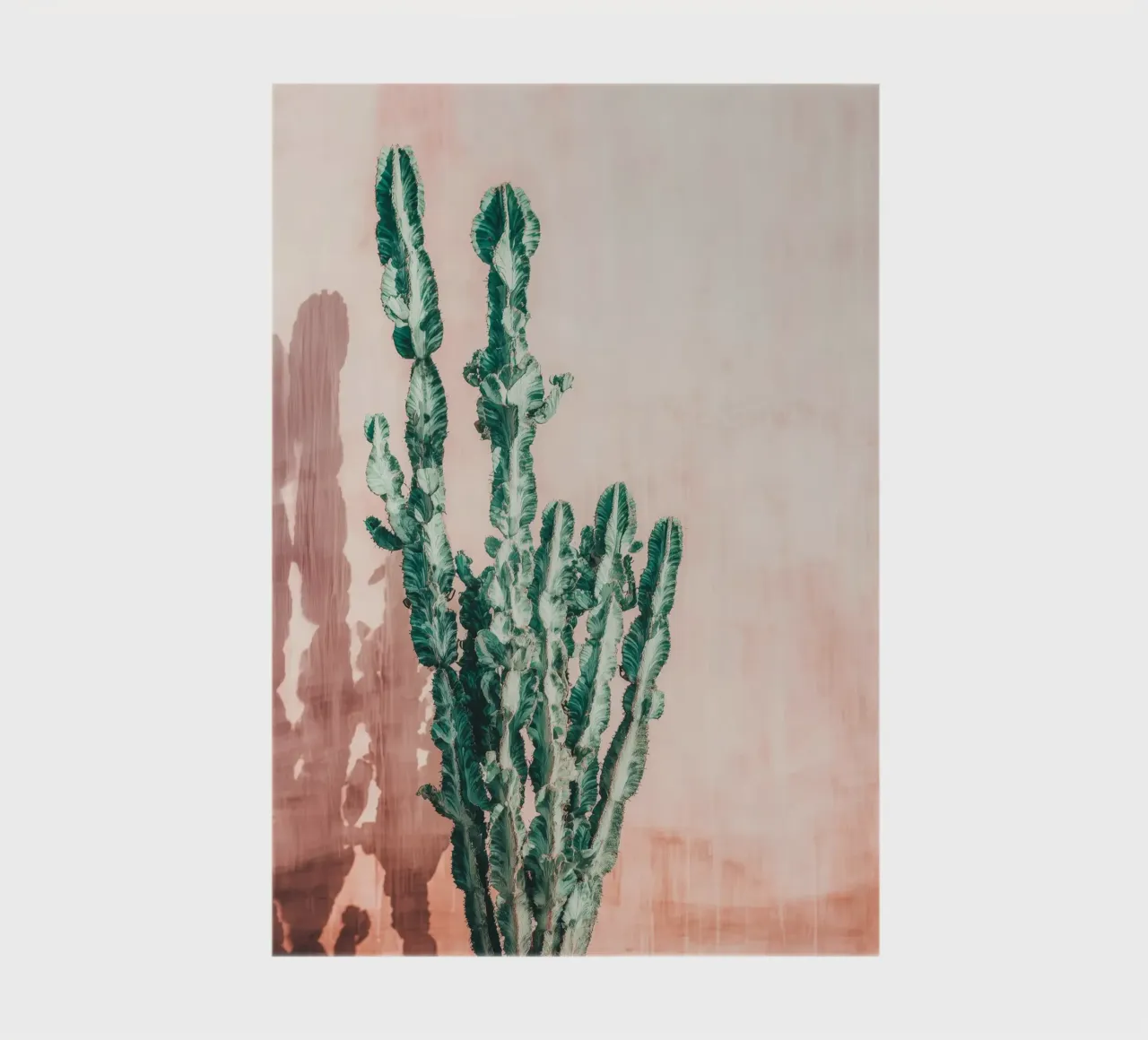 Tall Cactus Poster - Minimal Boho Plant Wall Art notebook by Vela Luna