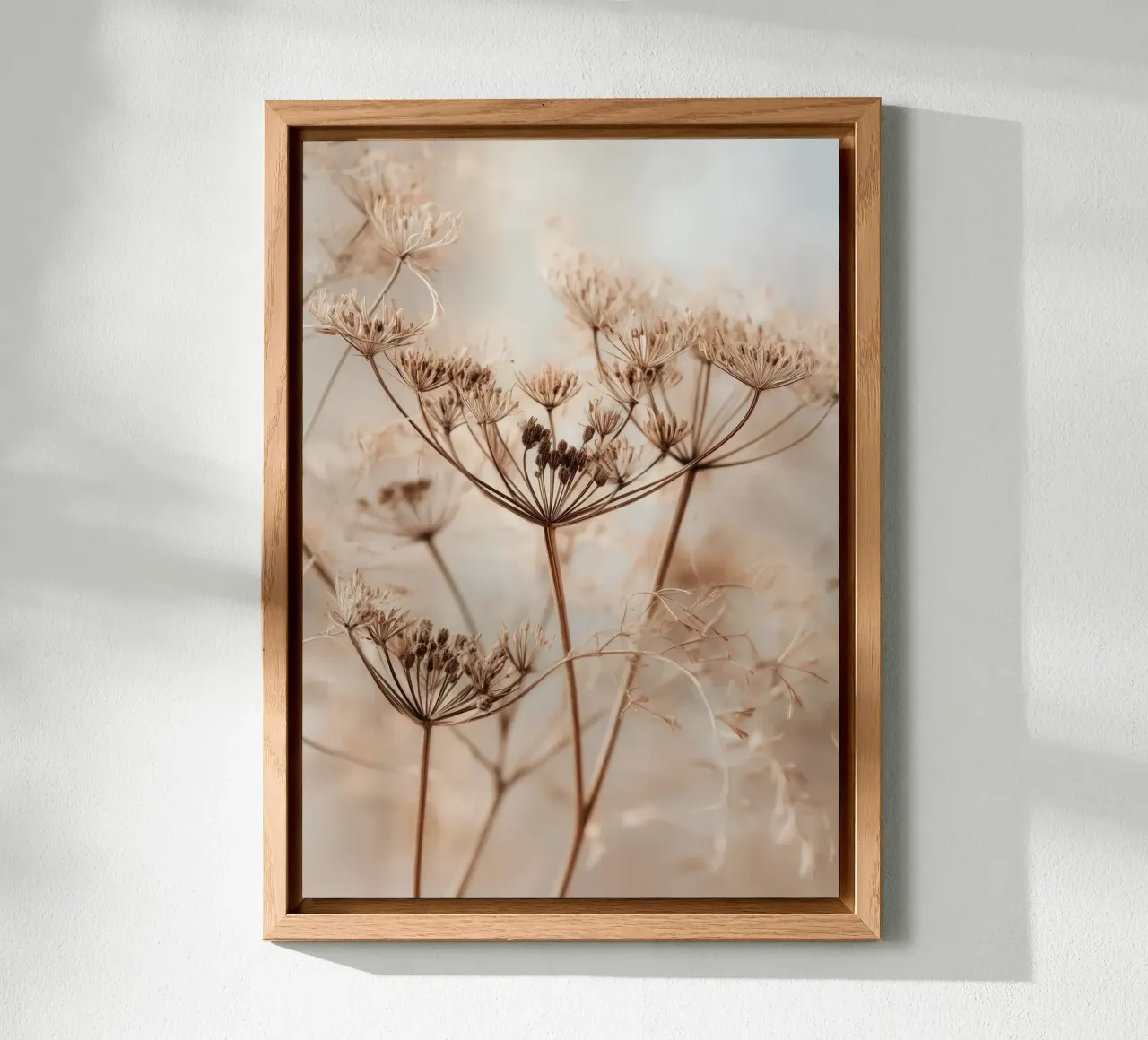 Minimalist Botanical Print – Dried Wild Fennel Stems alluminio dibond da Vela Luna
