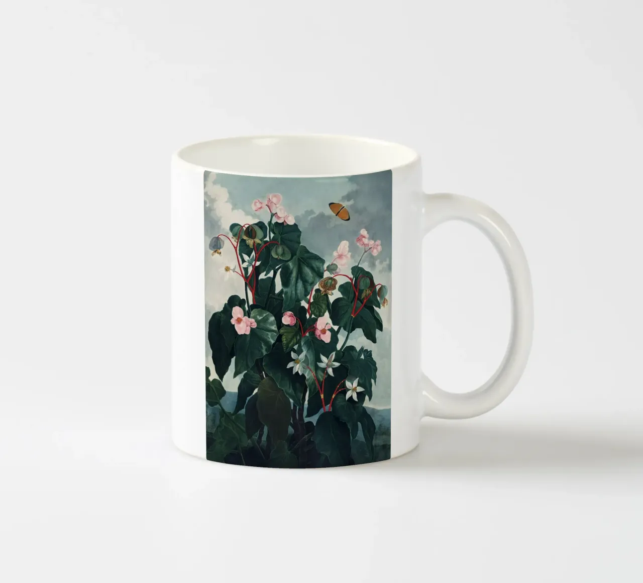 Vintage Thornton 4 Oblique Begonia tazza in ceramica da Vintage Print Collection