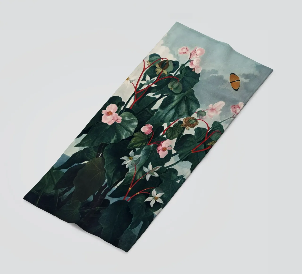 Vintage Thornton 4 Oblique Begonia telo mare da Vintage Print Collection