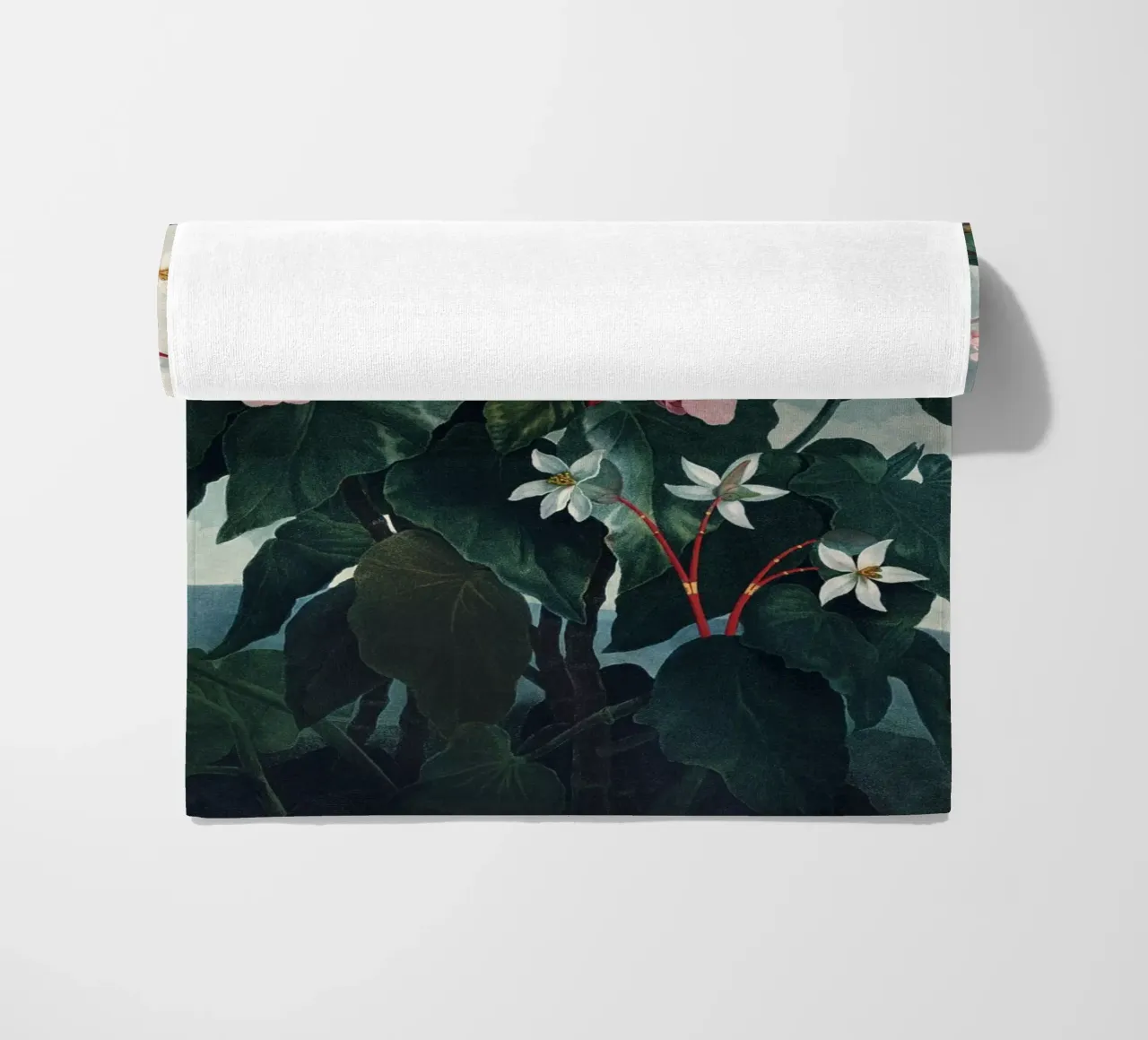 Vintage Thornton 4 Oblique Begonia telo mare da Vintage Print Collection
