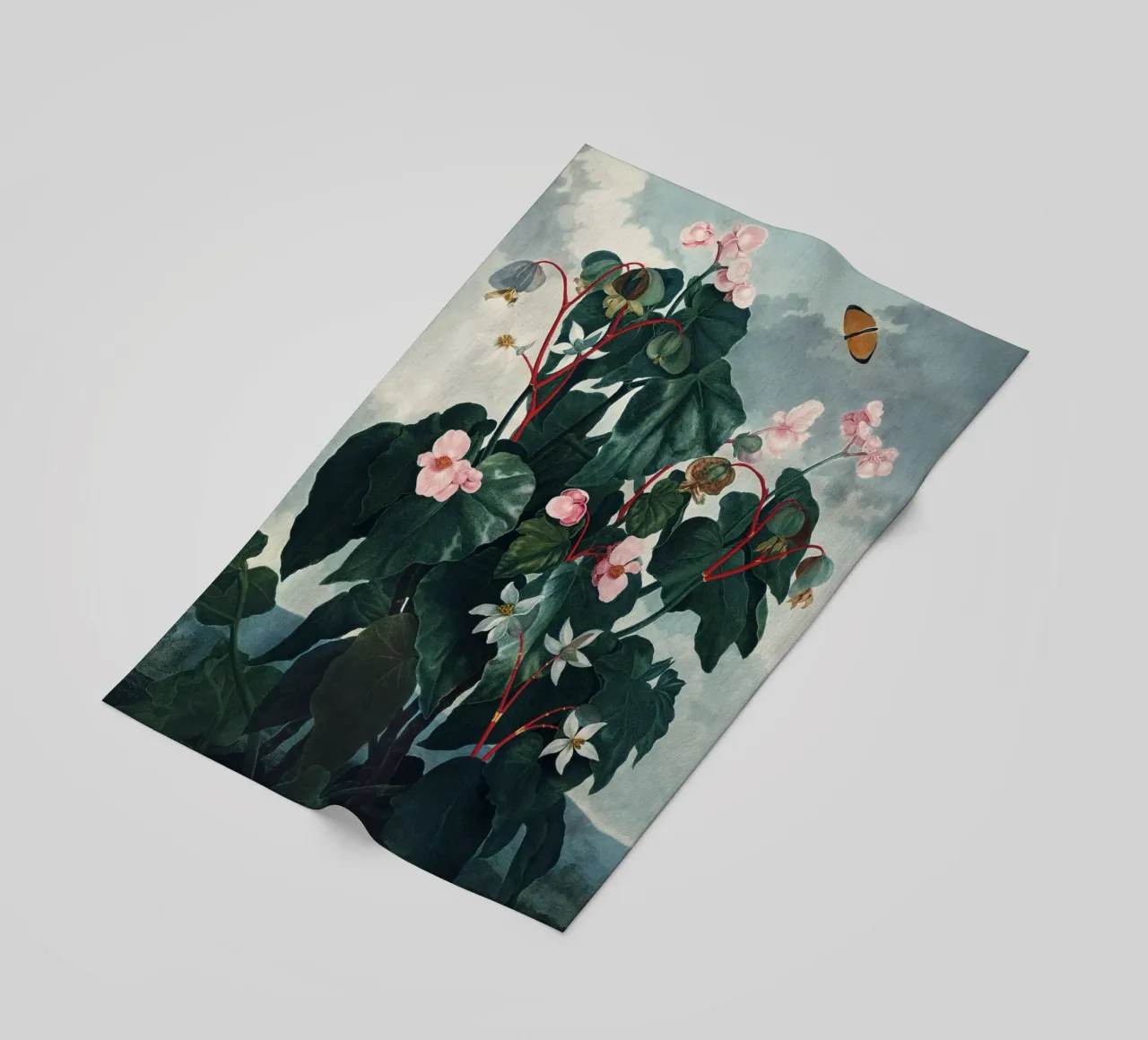 Vintage Thornton 4 Oblique Begonia telo mare da Vintage Print Collection