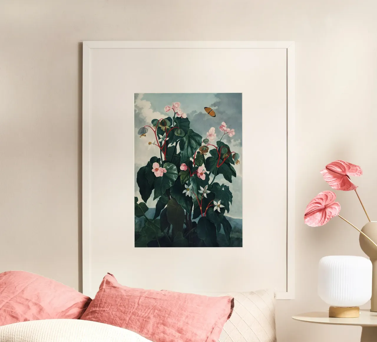 Vintage Thornton 4 Oblique Begonia poster da Vintage Print Collection