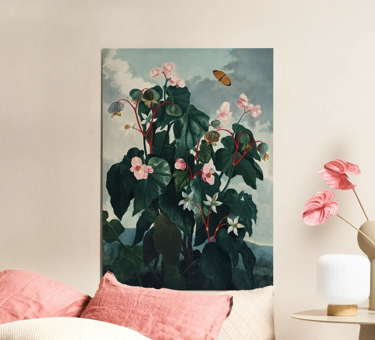 Vintage Thornton 4 Oblique Begonia poster da Vintage Print Collection
