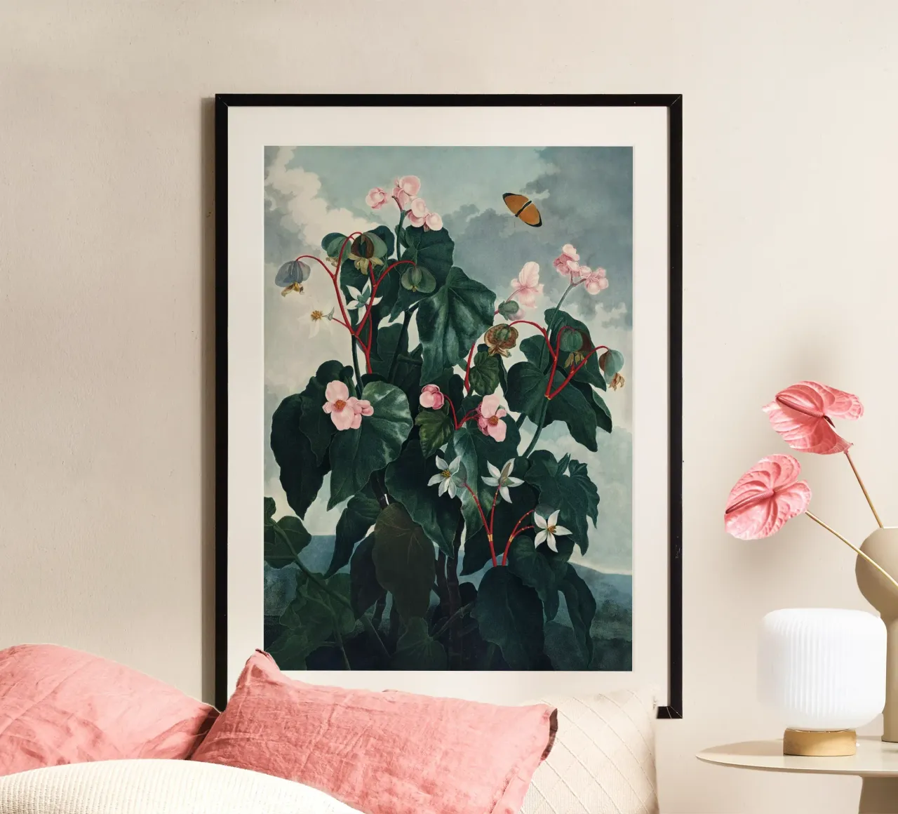 Vintage Thornton 4 Oblique Begonia poster da Vintage Print Collection