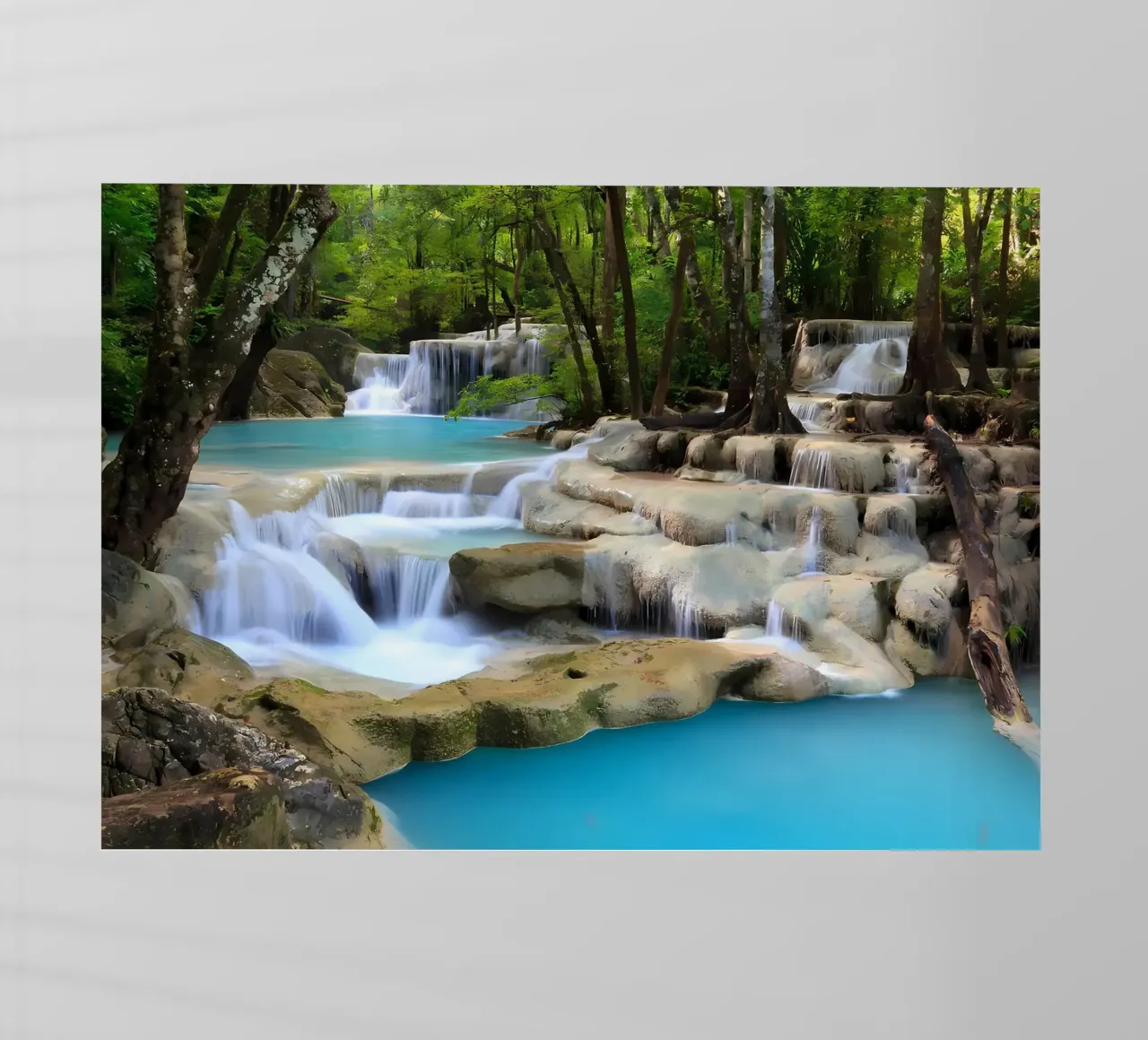 cascata alberi foresta pellicola backlit da MountainShop