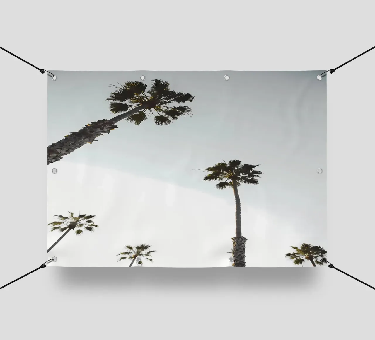 palm trees sky tall trees nature pvc cover by Jennifer R Spyhalski