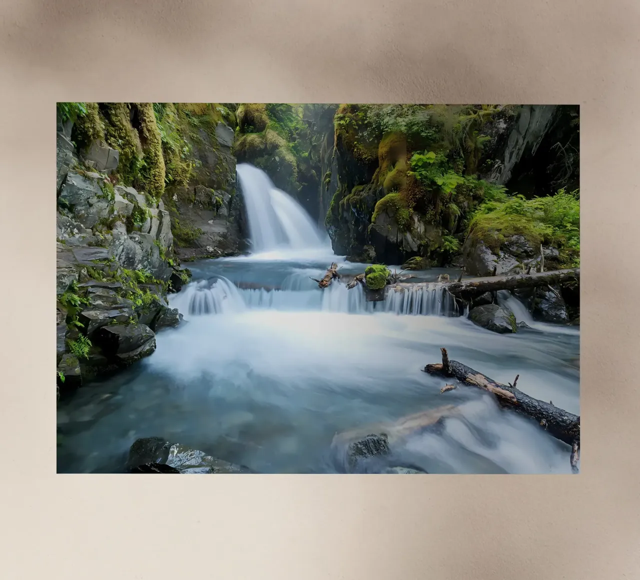 cascata bosco fiume muschio pellicola backlit da MountainShop