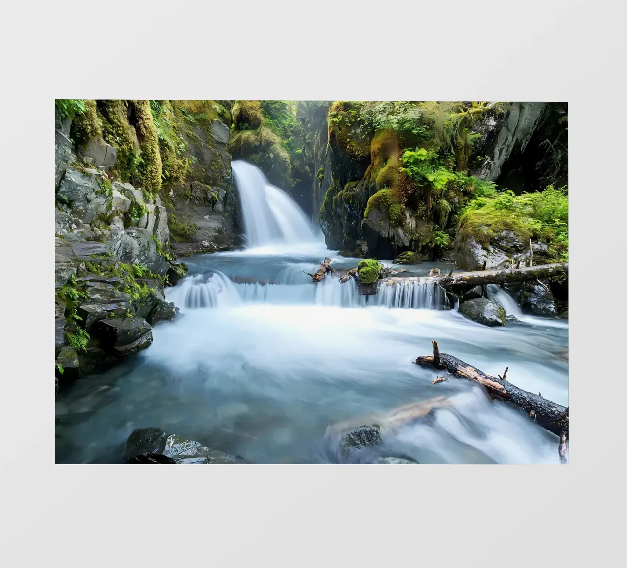 cascata bosco fiume muschio pellicola backlit da MountainShop