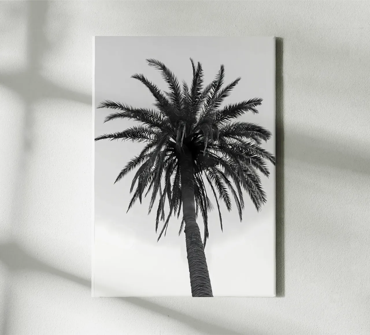 palmboom tropisch canvas met Baklijst van Jennifer R Spyhalski