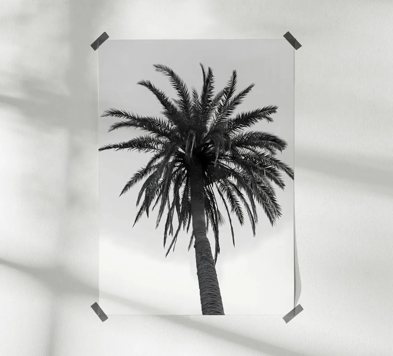 fronde di palma tropicale poster con telaio in alluminio da Jennifer R Spyhalski