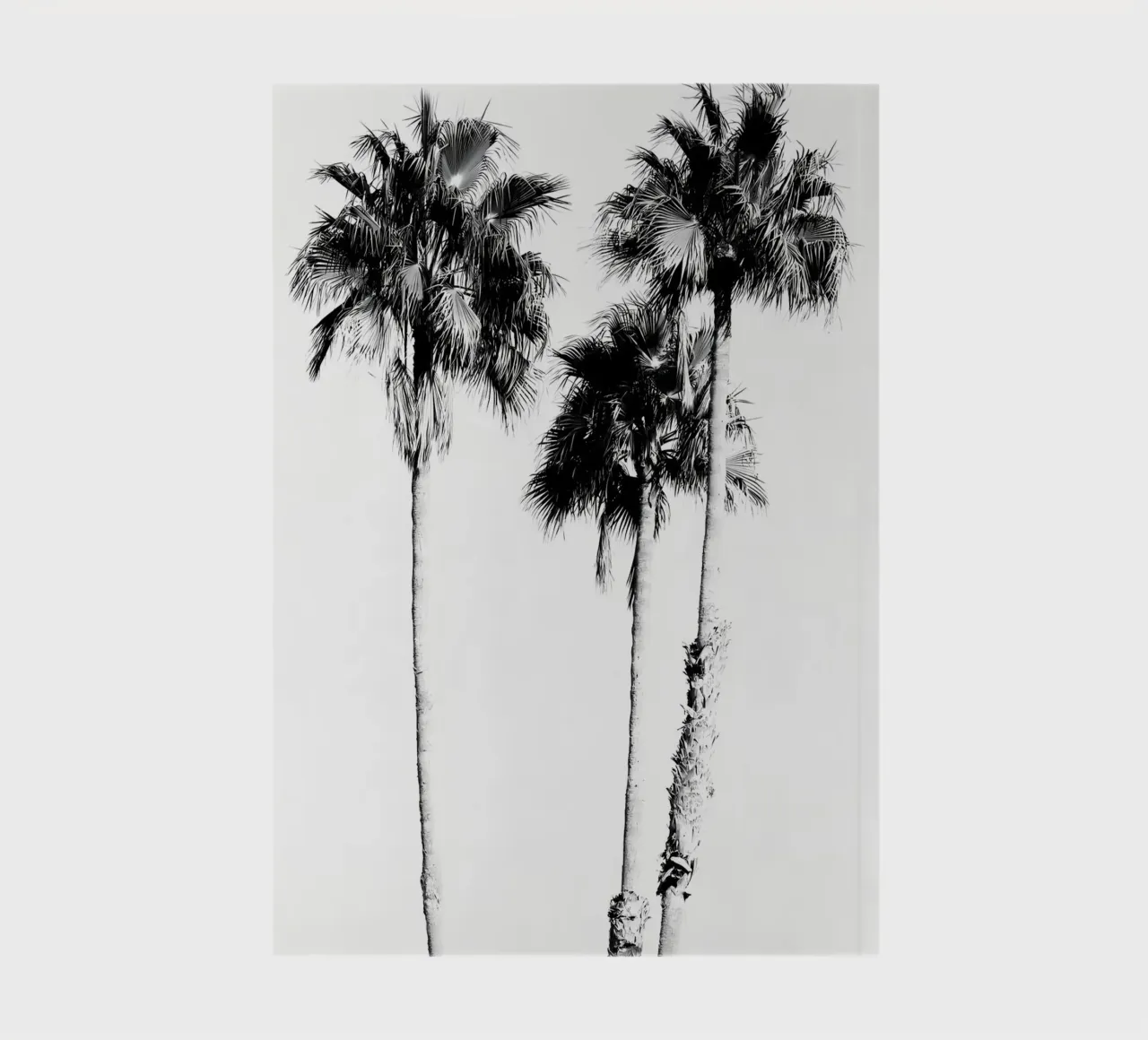 palm trees tropical nature notebook by Jennifer R Spyhalski