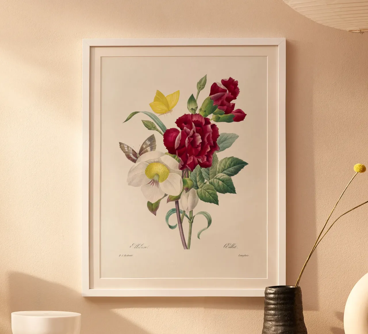 Hellebore and Oeillet poster con telaio in alluminio da vintageshop