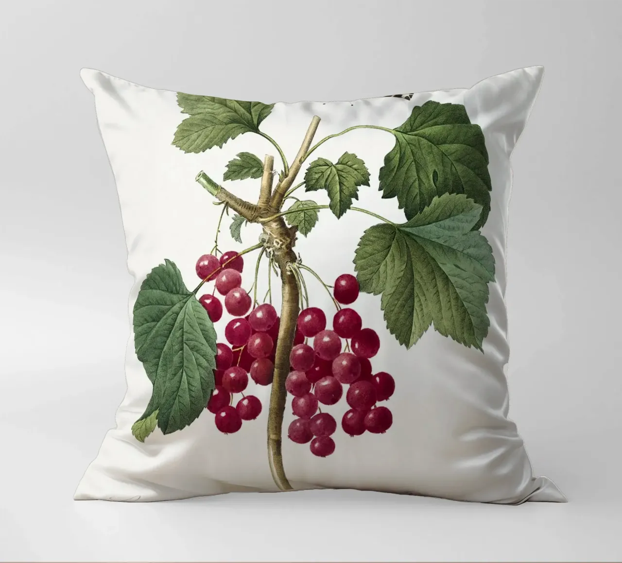 Red Currant cuscino da vintageshop