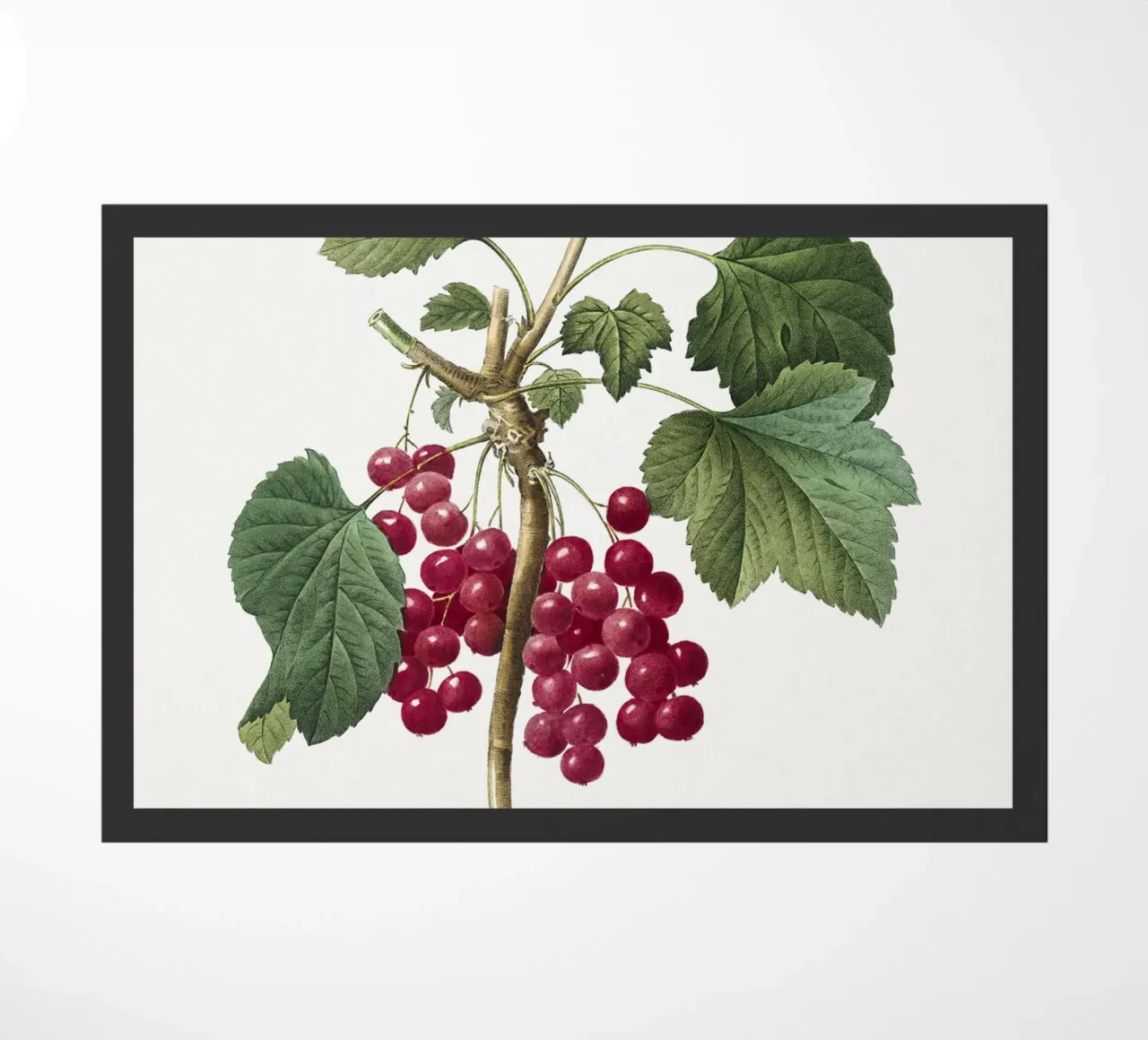 Red Currant zerbino da vintageshop