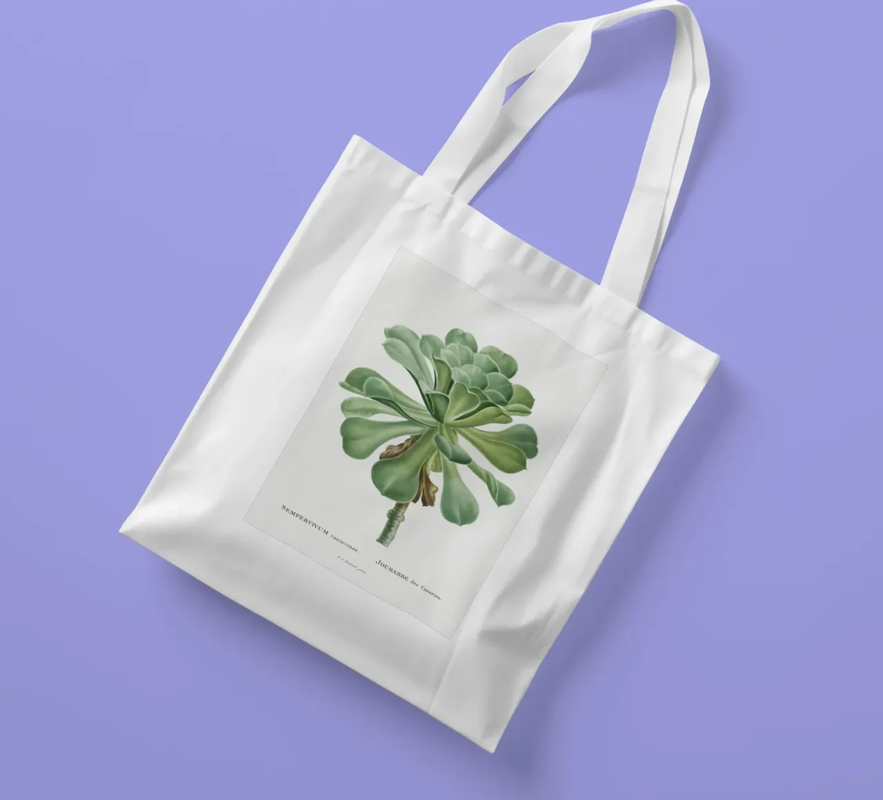 Sempervivum Canariense borsa in juta da vintageshop