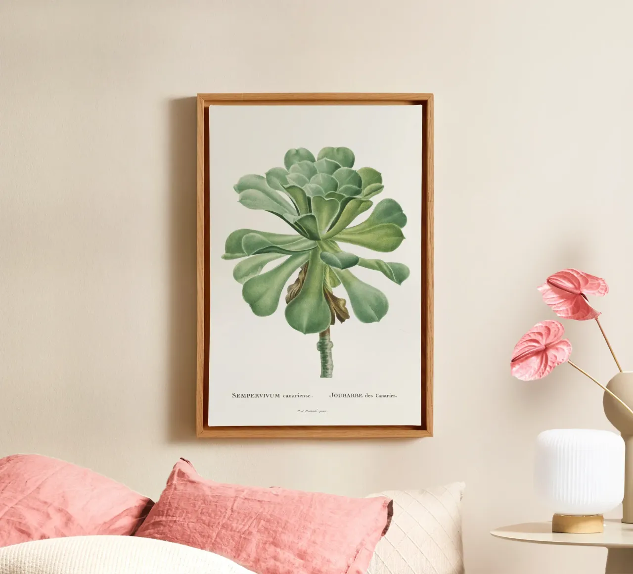 Sempervivum Canariense tela con Cornice a cassetta da vintageshop