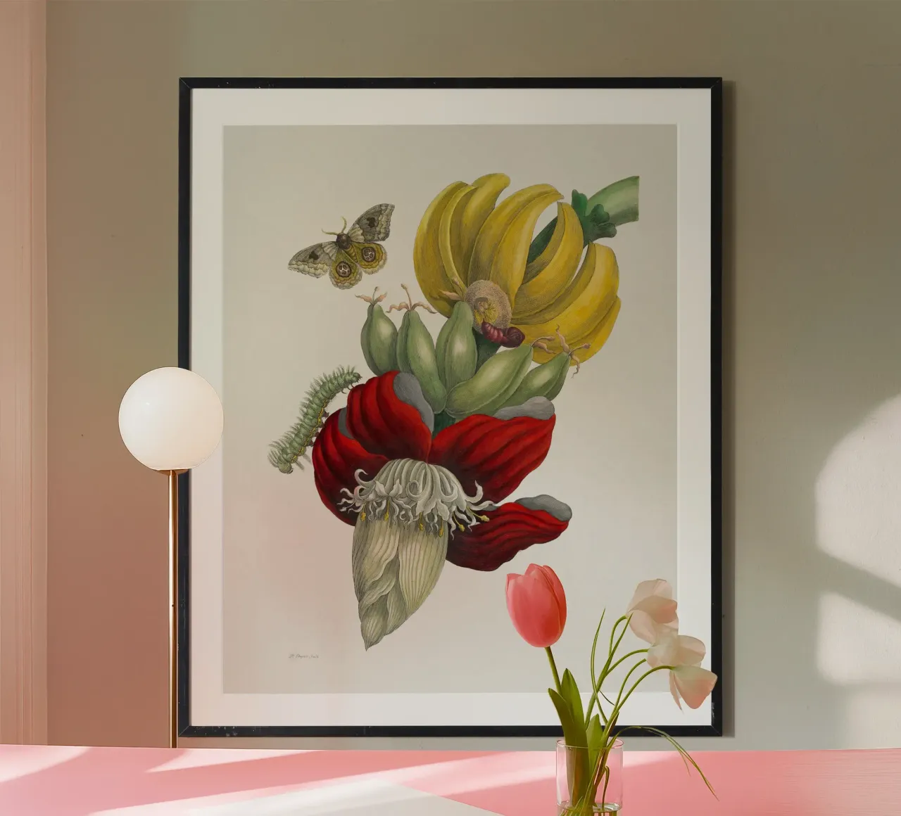 Inflorescence of Banana carta hahnemühle da vintageshop