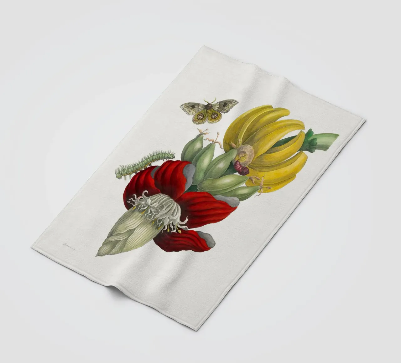 Inflorescence of Banana coperta in pile da vintageshop