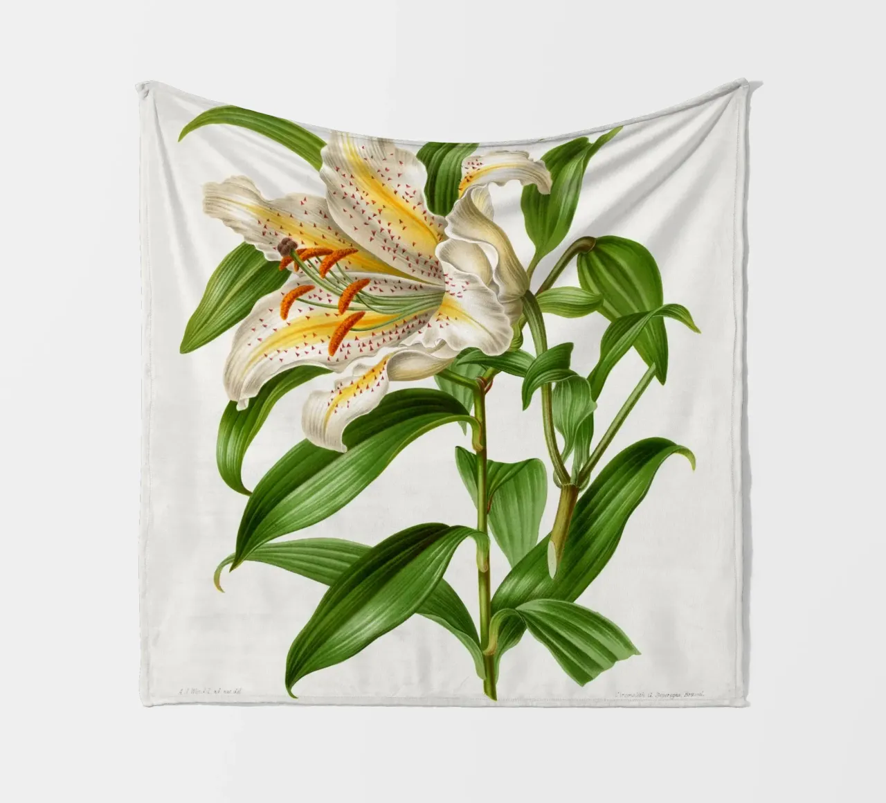 Lilium Speciosum Imperiale Fleecedecke von vintageshop