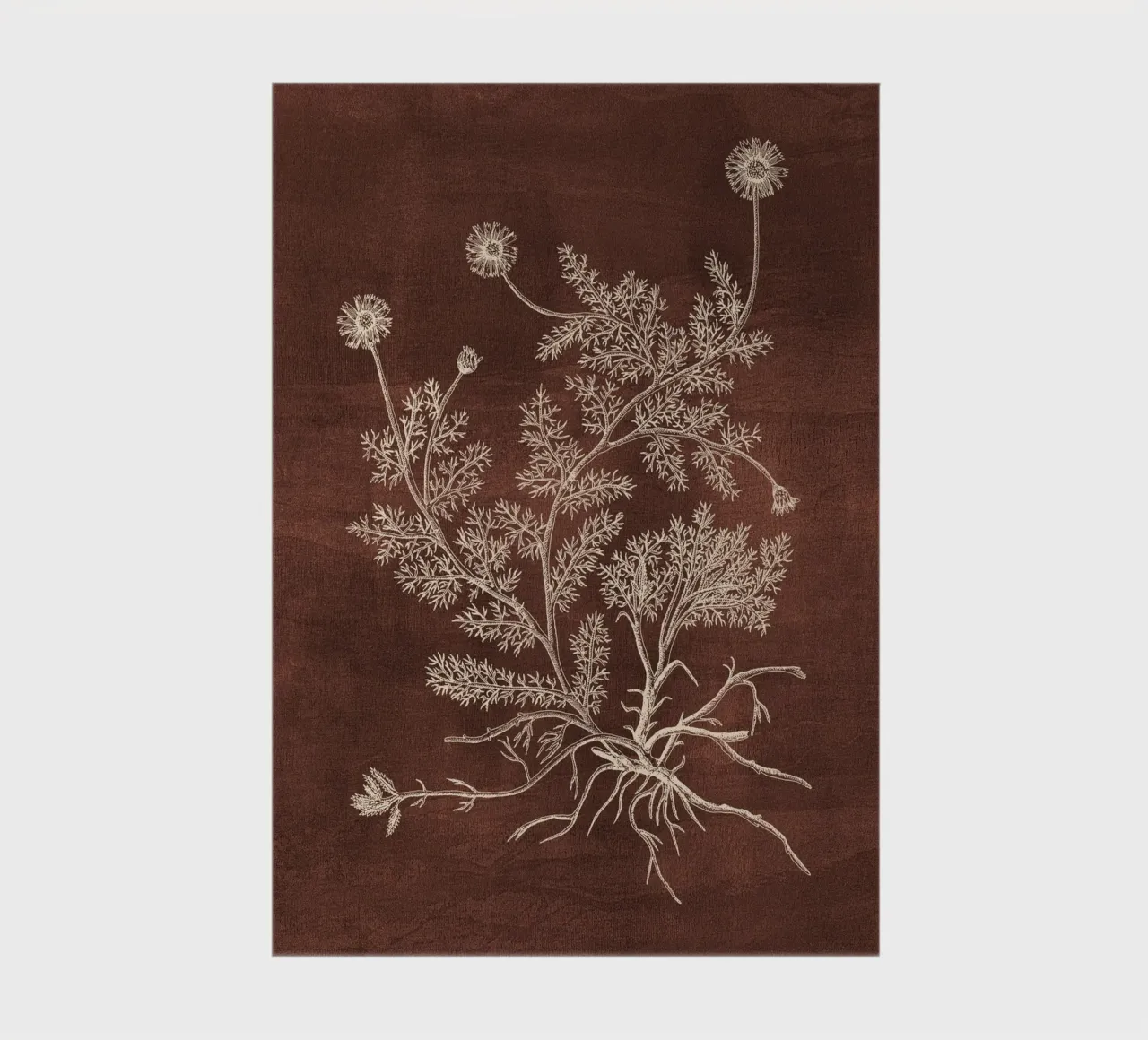 Chamomile notebook by adrianooliveira