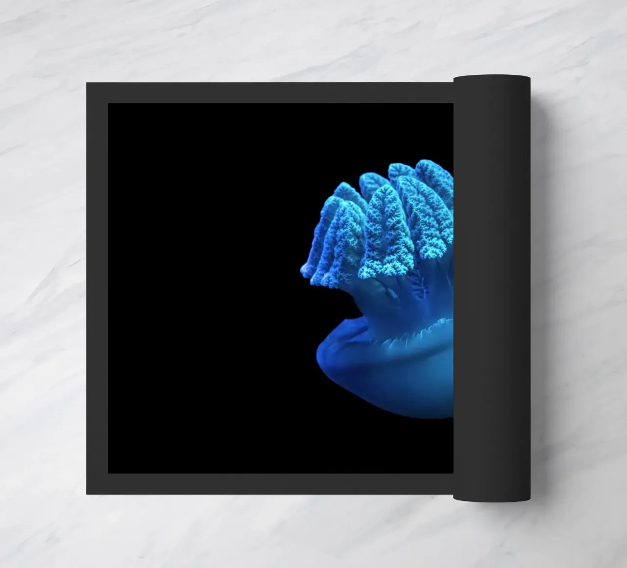 medusa blu zerbino da Earthly Visions
