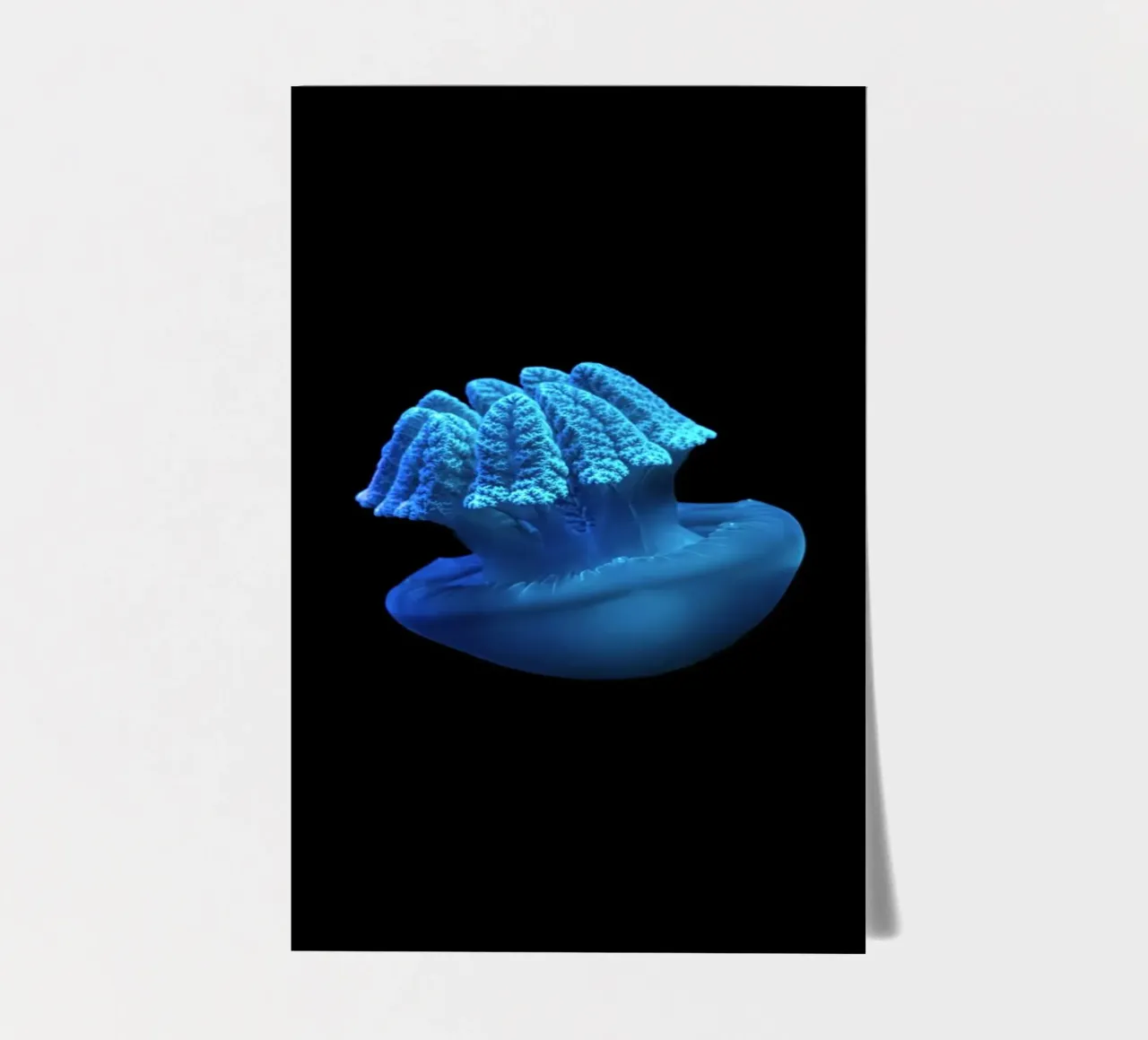 blue jellyfish sticker sheet by Earthly Visions