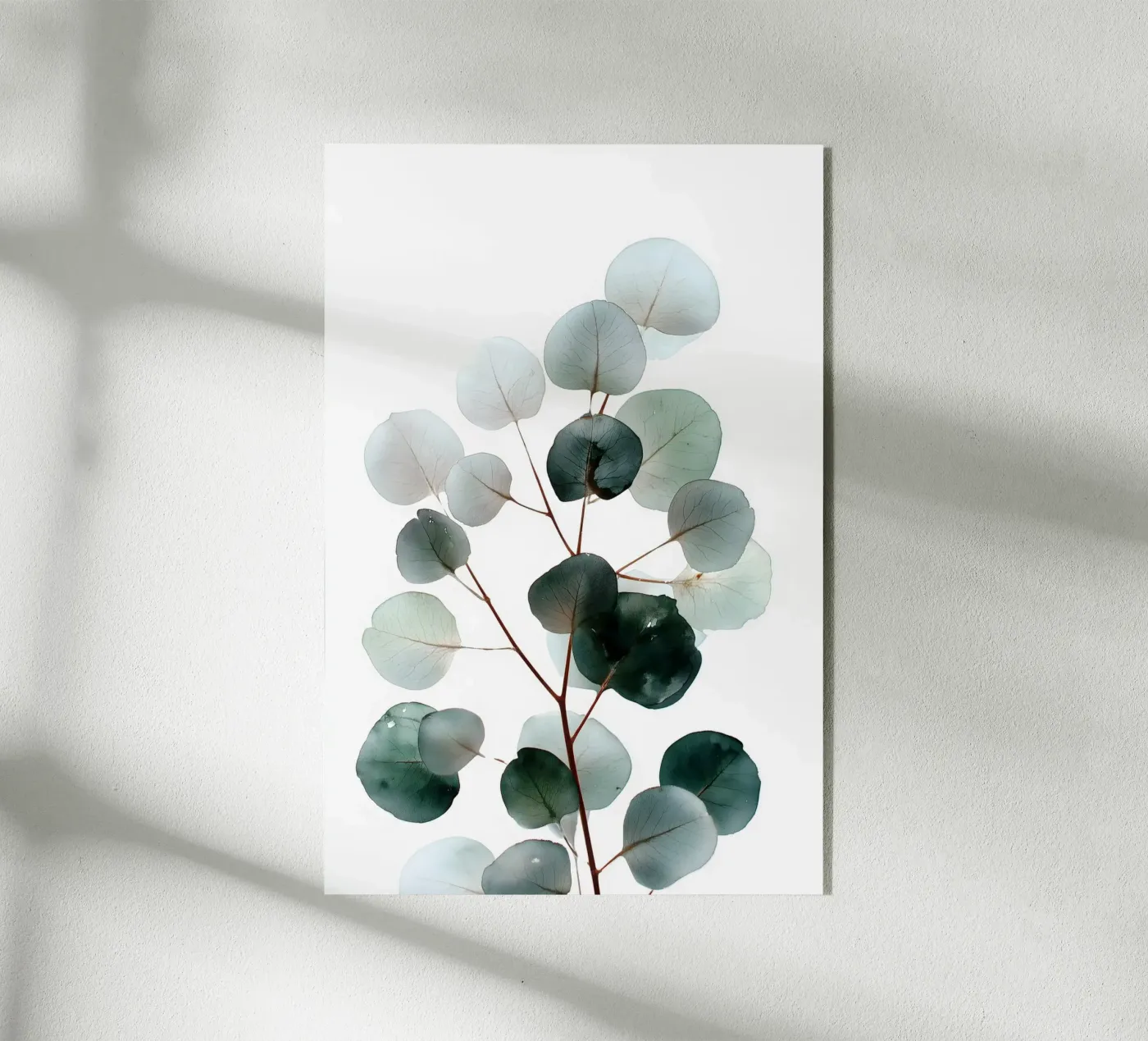 Acquerello all'eucalipto plexiglass da Studio Verde