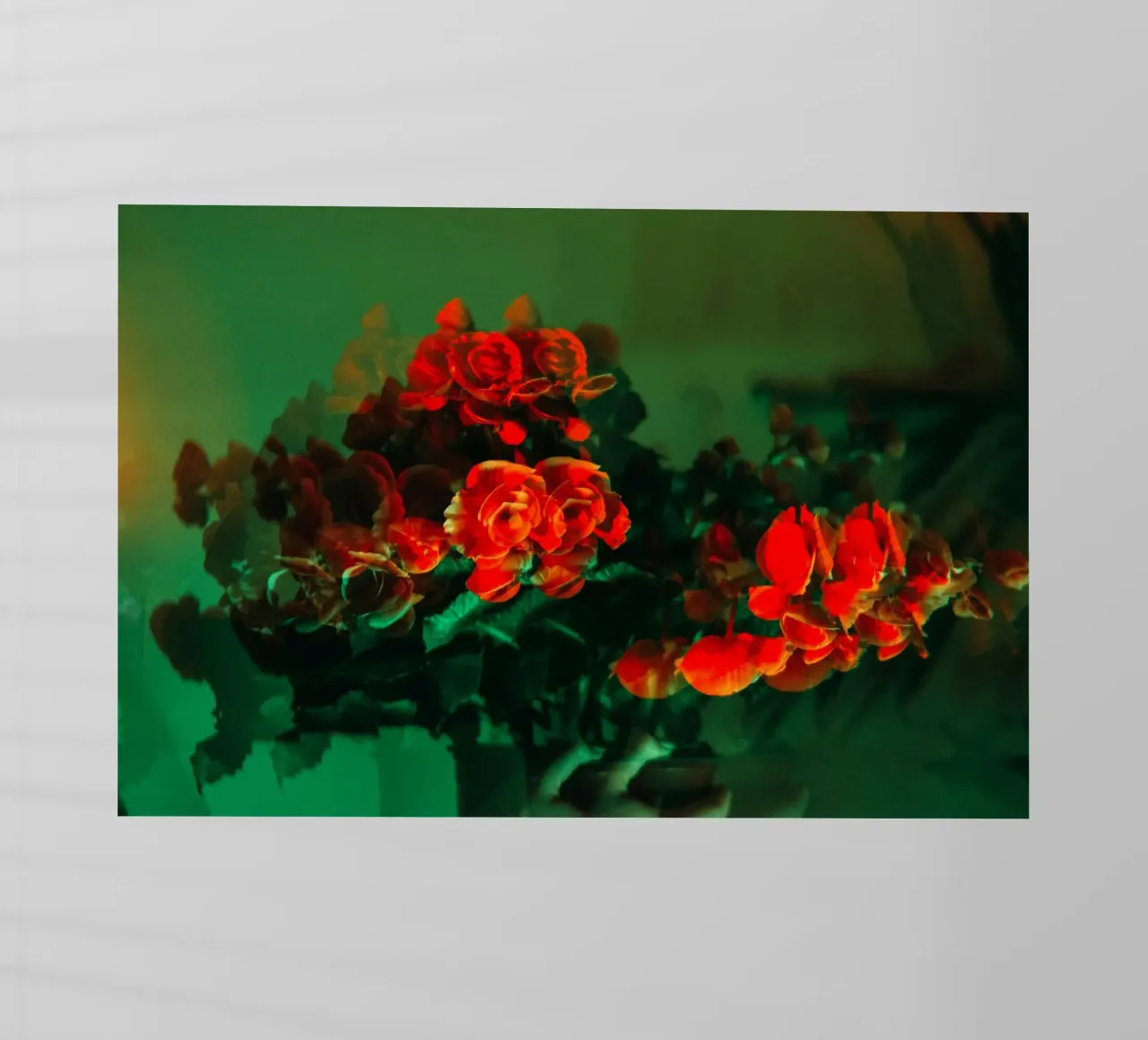 bouquet di fiori pellicola backlit da Earthly Visions