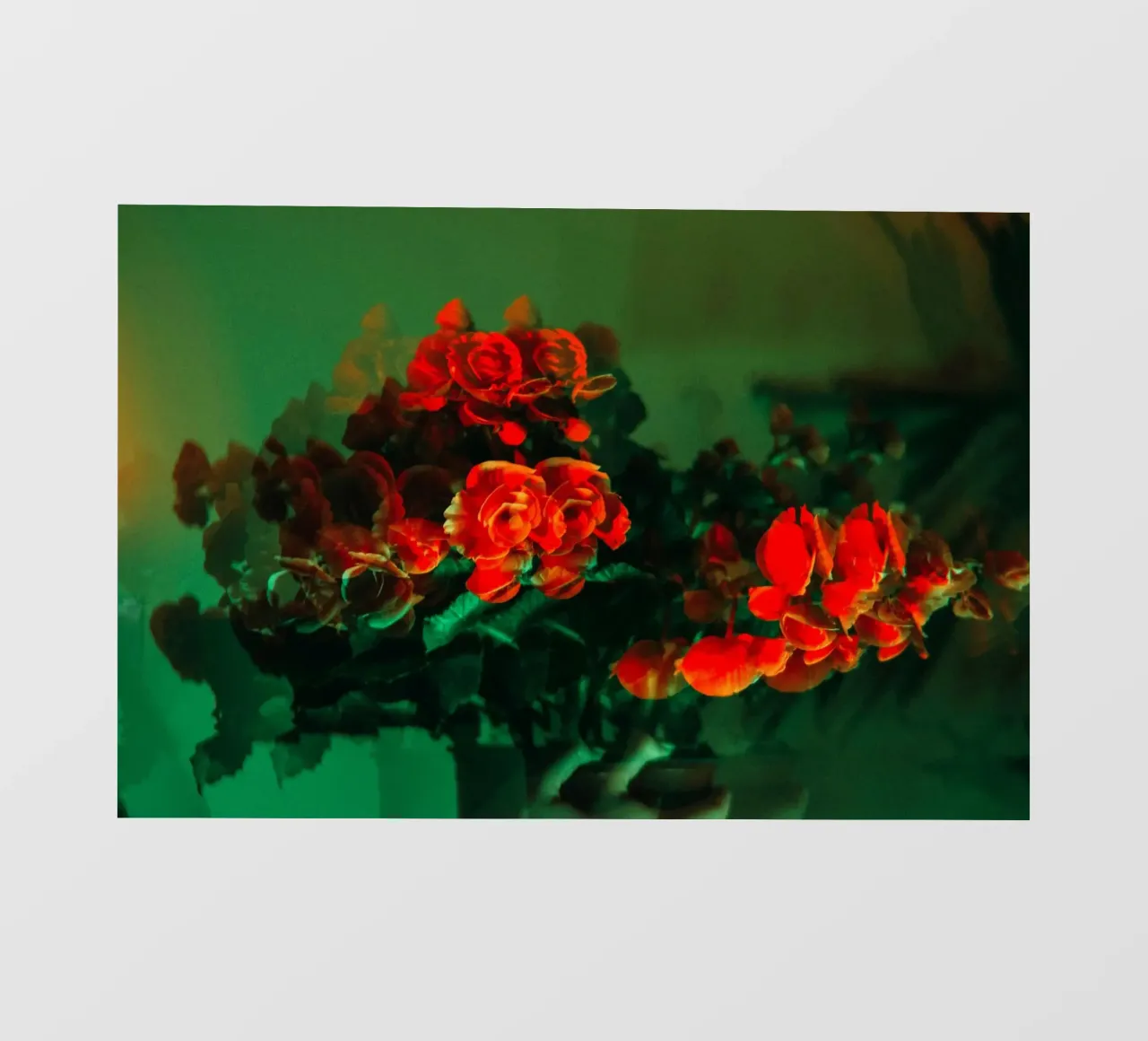 bouquet di fiori pellicola backlit da Earthly Visions