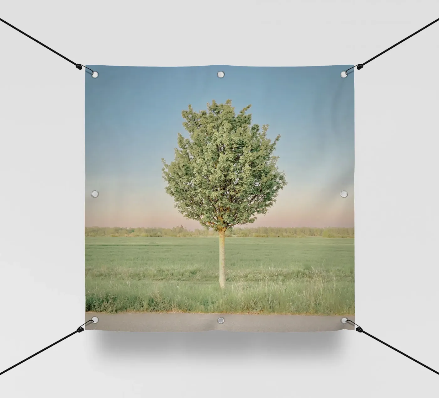 Frühlingsbaum PVC Plane von KISSA STUDIO