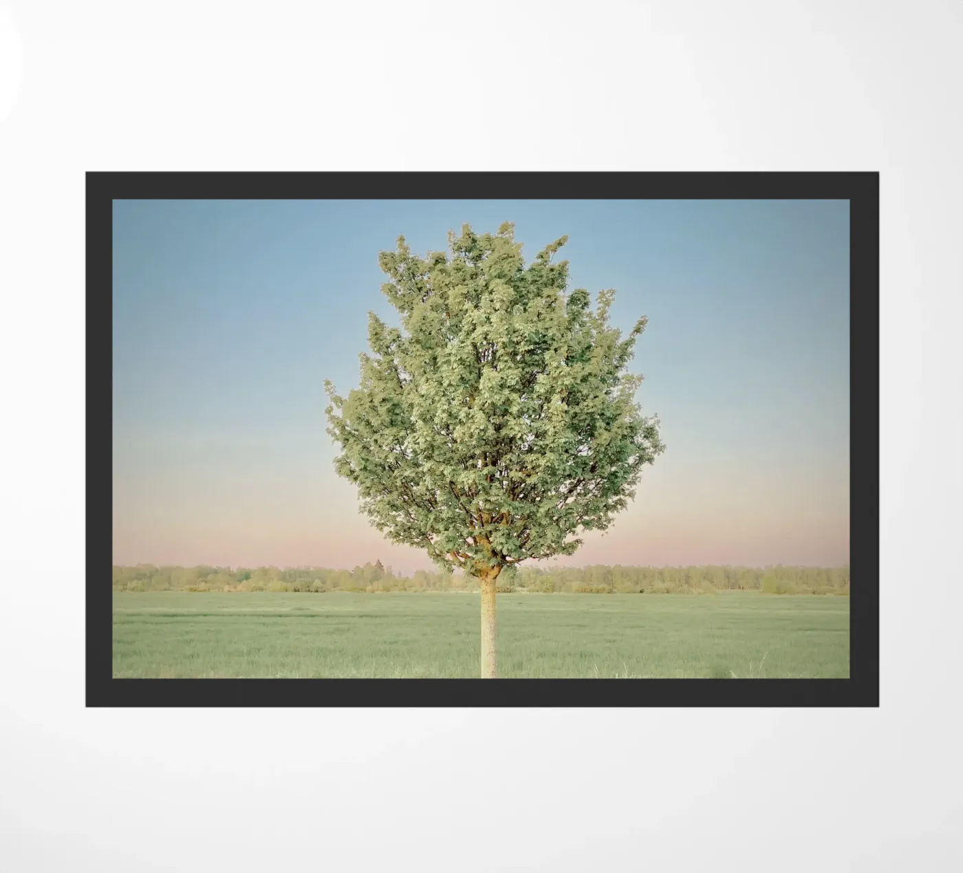 Spring Tree deurmat van KISSA STUDIO