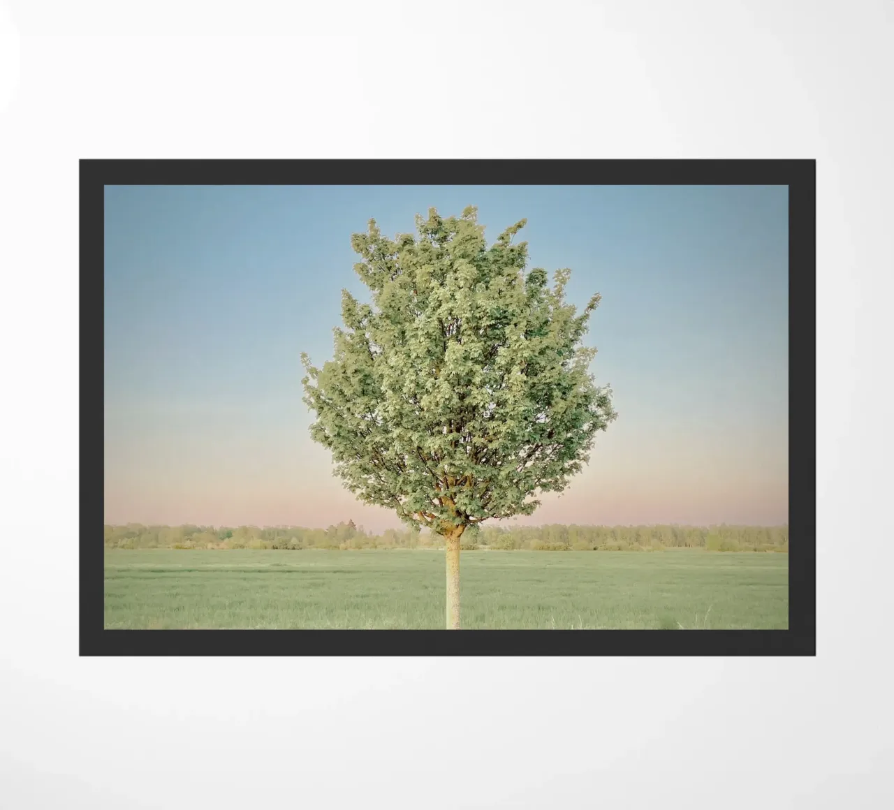 Albero di primavera zerbino da KISSA STUDIO
