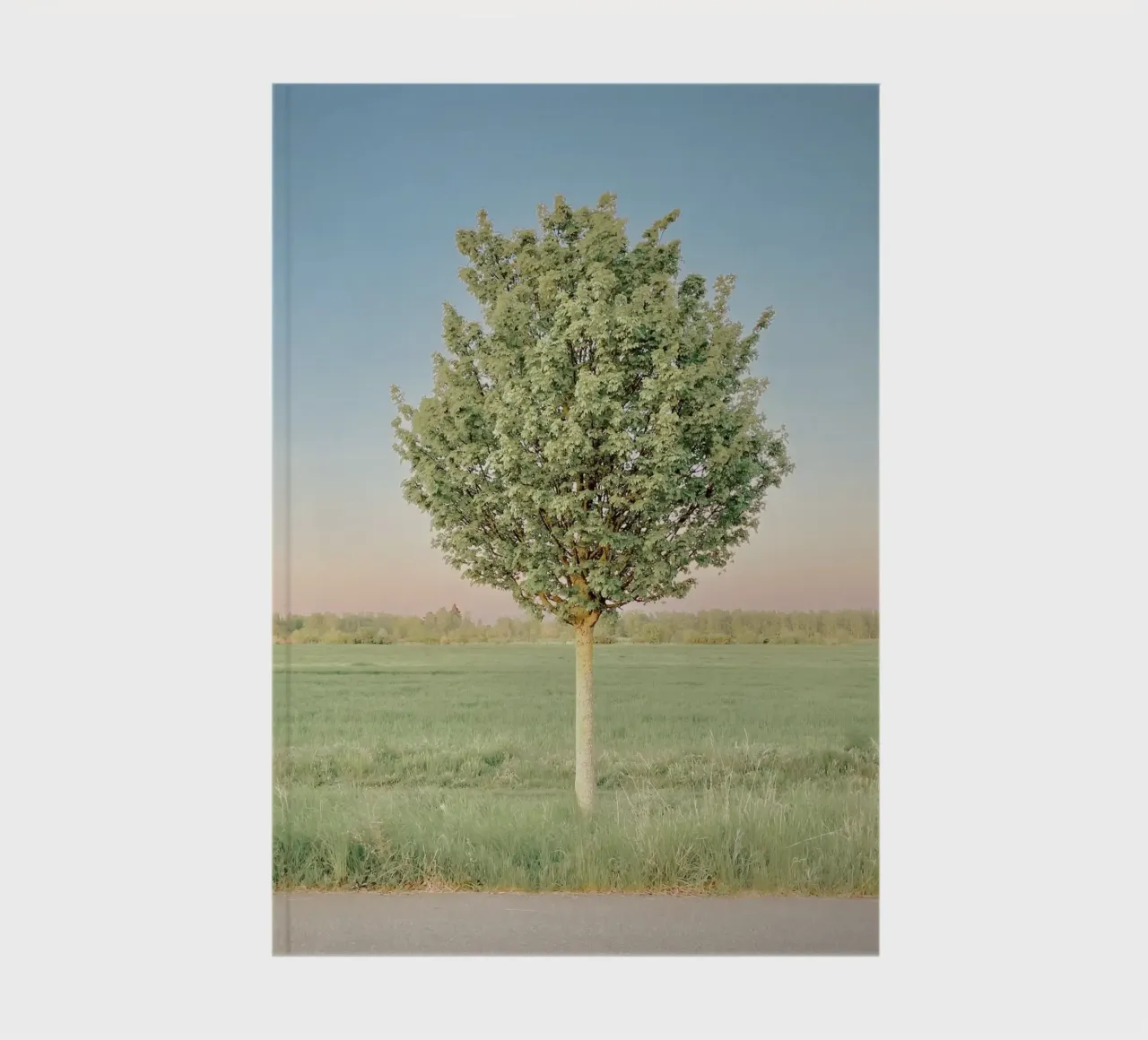 Spring Tree notebook by KISSA STUDIO