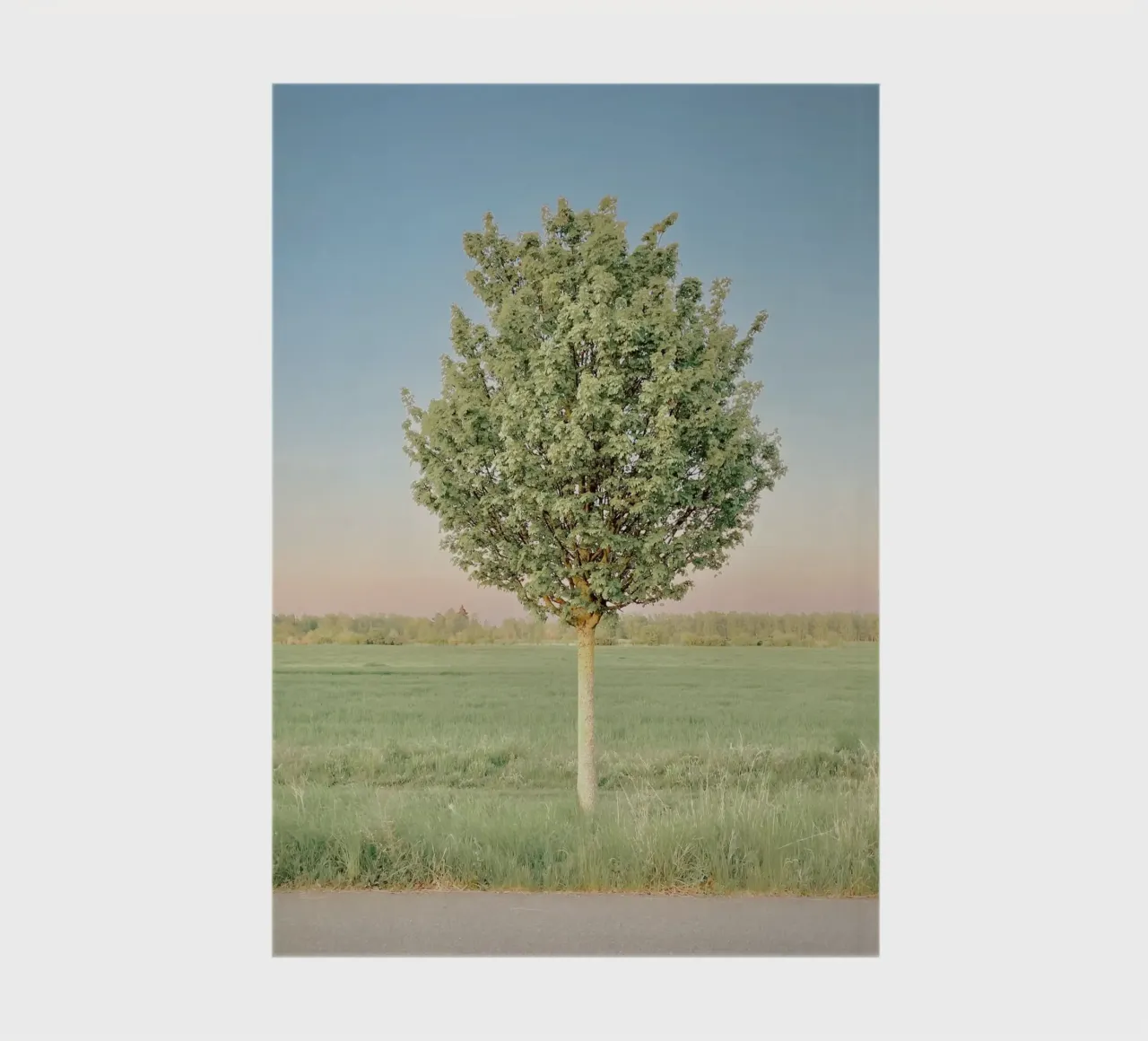 Spring Tree notebook by KISSA STUDIO