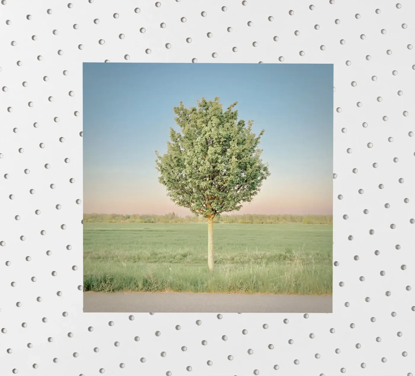 Lente Boom sticker van KISSA STUDIO