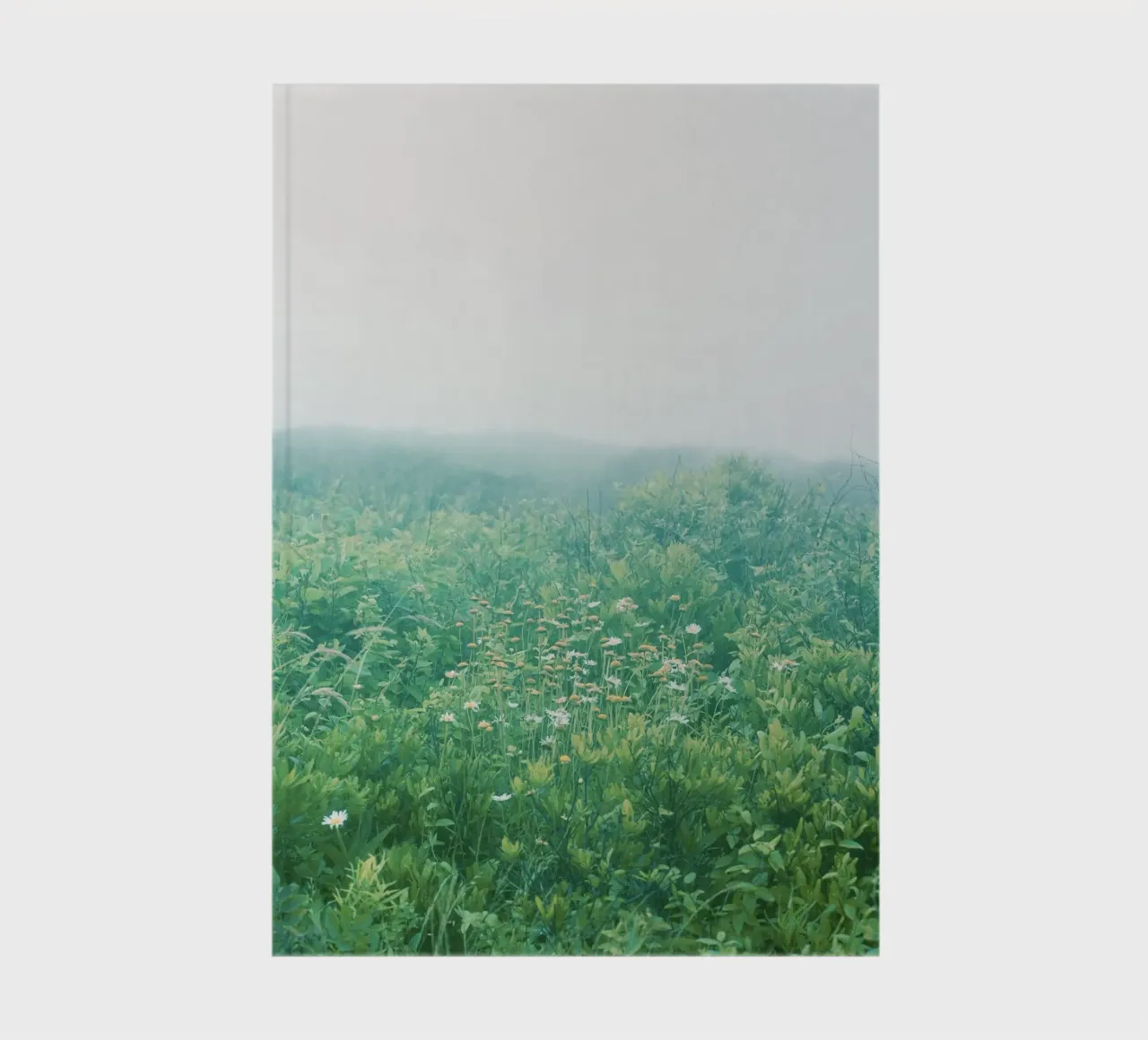 Spring Field notebook by KISSA STUDIO