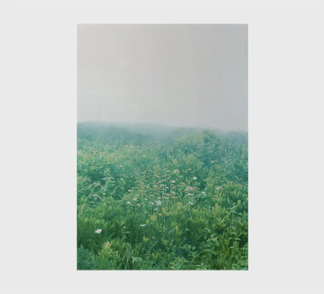 Spring Field notebook by KISSA STUDIO