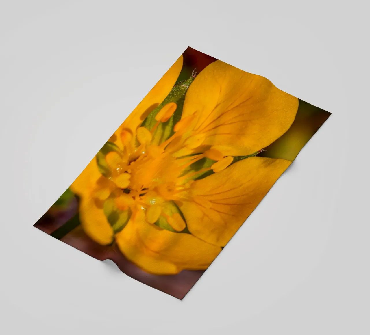 The buttercup beach towel by Marcus Beckert | Fotografie