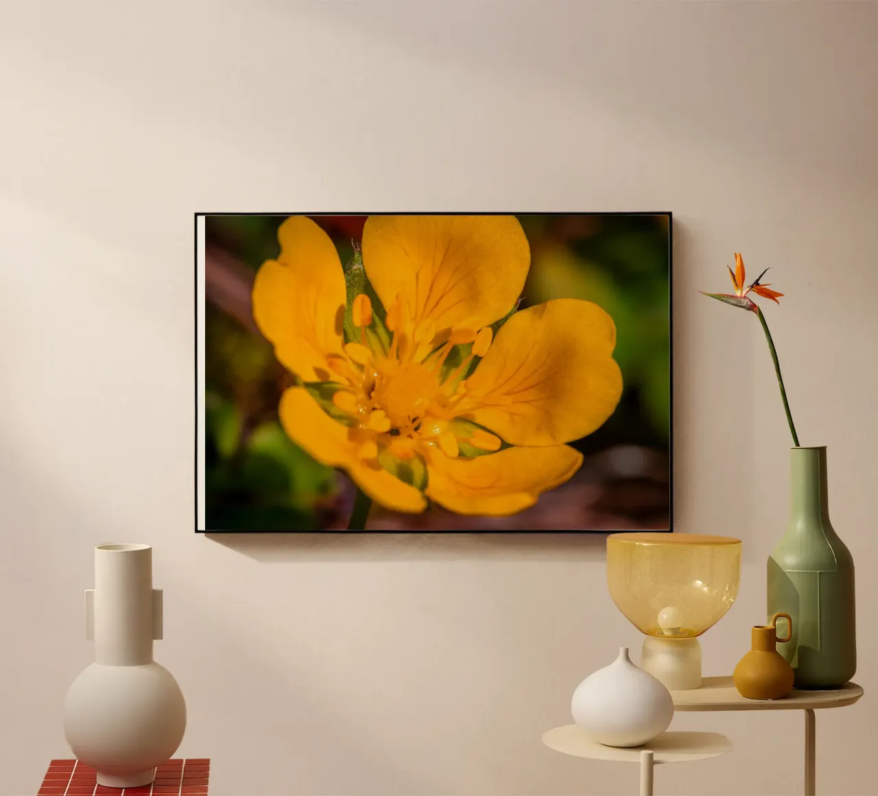 Il ranuncolo plexiglass da Marcus Beckert | Fotografie