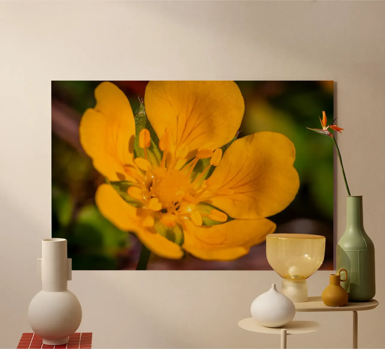 Il ranuncolo plexiglass da Marcus Beckert | Fotografie