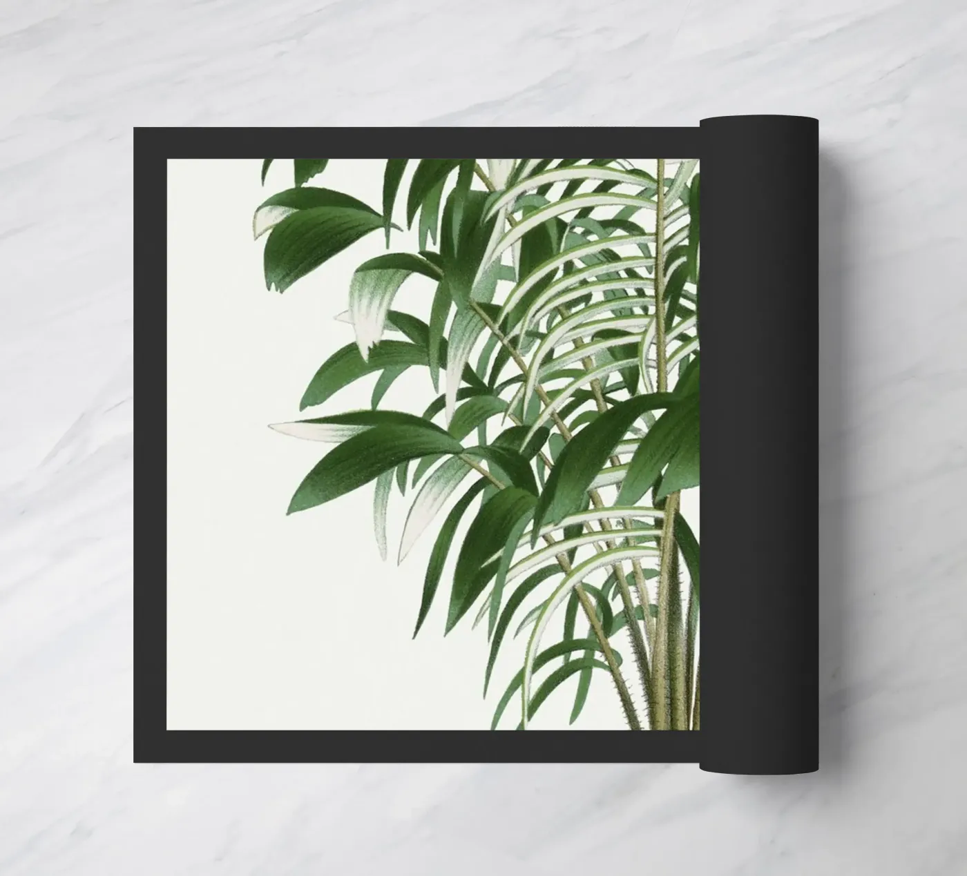 tree illustration zerbino da vintageshop