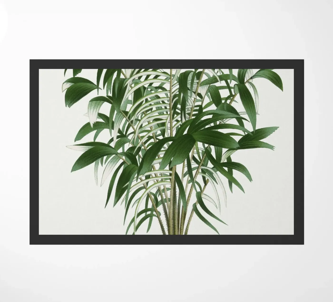 tree illustration zerbino da vintageshop