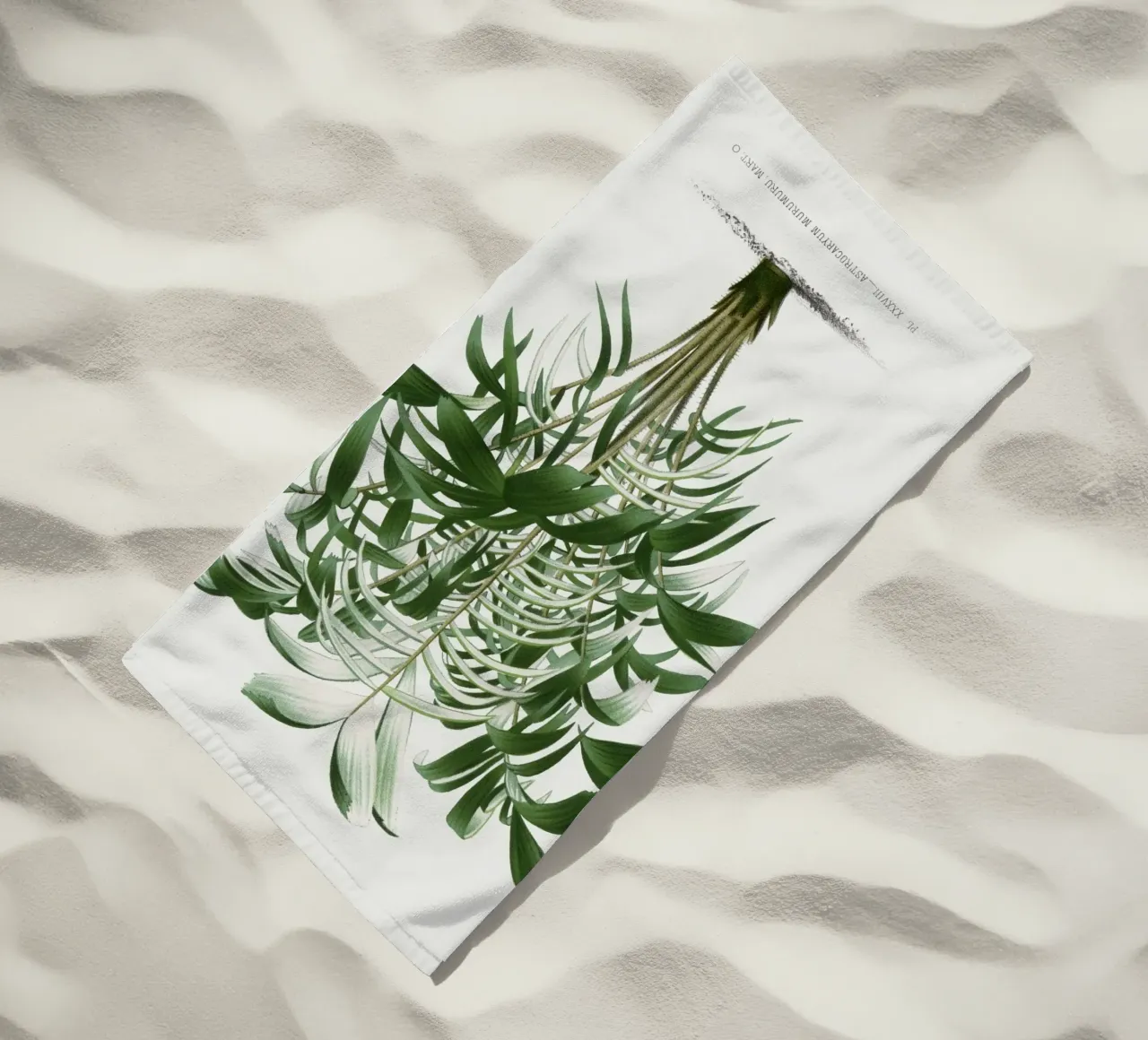 tree illustration telo mare da vintageshop